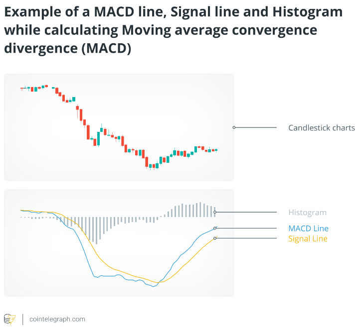 Crypto charts 101: How to read cryptocurrency charts